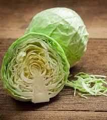 Brassica oleracea 'Farao' - Cabbage, Green from My Organic Table