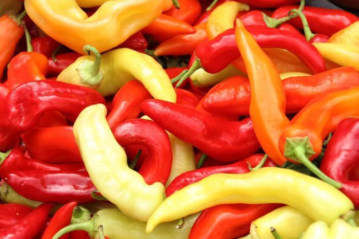 Capsicum annuum Sweet Banana