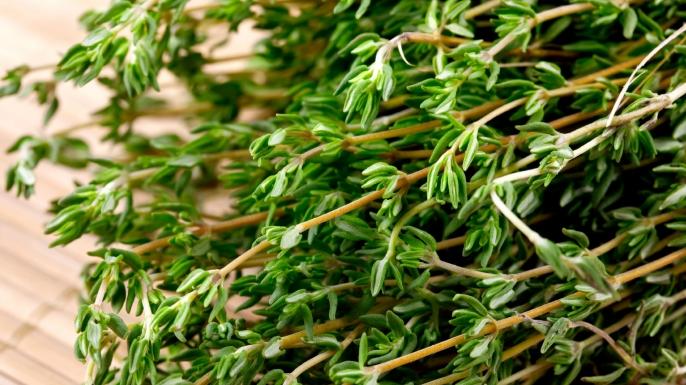 Thymus vulgaris - English Thyme from My Organic Table