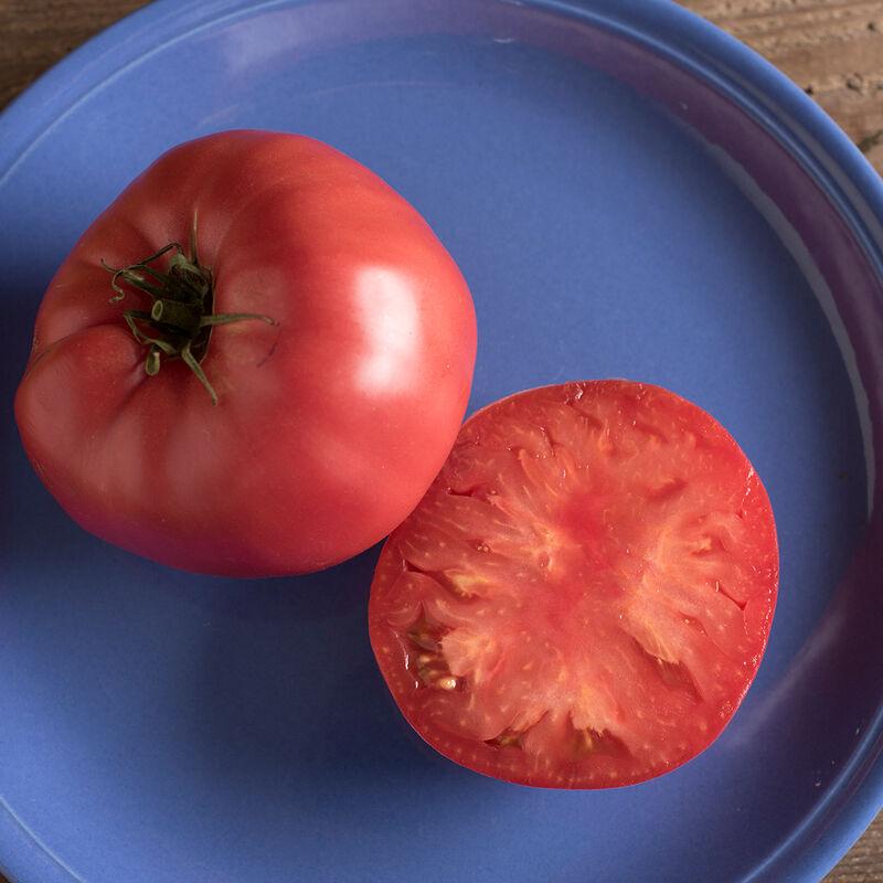 Solanum lycopersicon 'Brandywine' - Tomato from My Organic Table