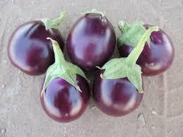 Solanum melongena 'Little Prince' - Eggplant, Little Prince from My Organic Table