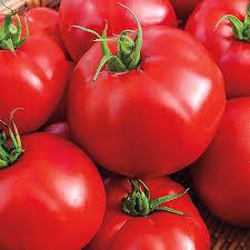 Solanum lycopersicon 'Big Beef' - Beefsteak from My Organic Table