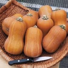 Cucurbita maxima 'Honeynut, Butternut' - Squash, Honeynut, Butternut from My Organic Table
