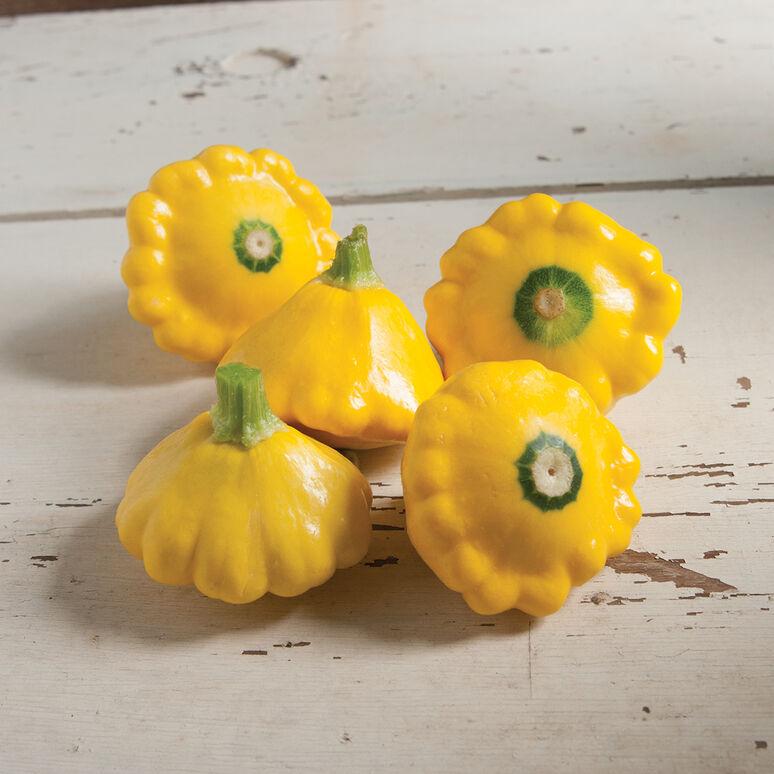 Cucurbita pepo 'Patty Pan' - Squash, Patty Pan from My Organic Table