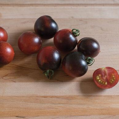 Solanum lycopersicum 'Indigo Cherry Drops' - Tomato, Indigo Cherry Drops from My Organic Table