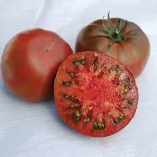 Solanum lycopersicum 'Paul Robeson' - Tomato, Paul Robeson from My Organic Table
