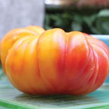 Solanum lycopersicum 'Pineapple Premier' - Tomato, Pineapple Premier from My Organic Table