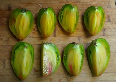 Solanum lycopersicum 'Taiga' - Tomato, Taiga from My Organic Table