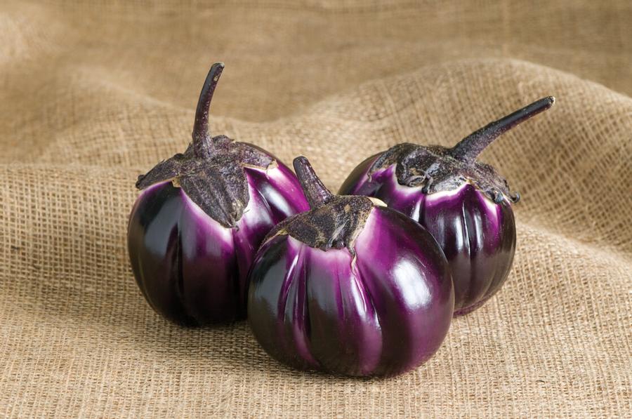 Solanum melongena 'Sicilian' - Eggplant, Sicilian from My Organic Table