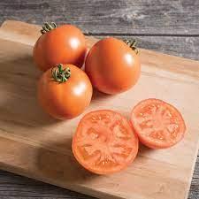 Solanum lycopersicon 'BHN 871' - Tomato, BHN 871 from My Organic Table