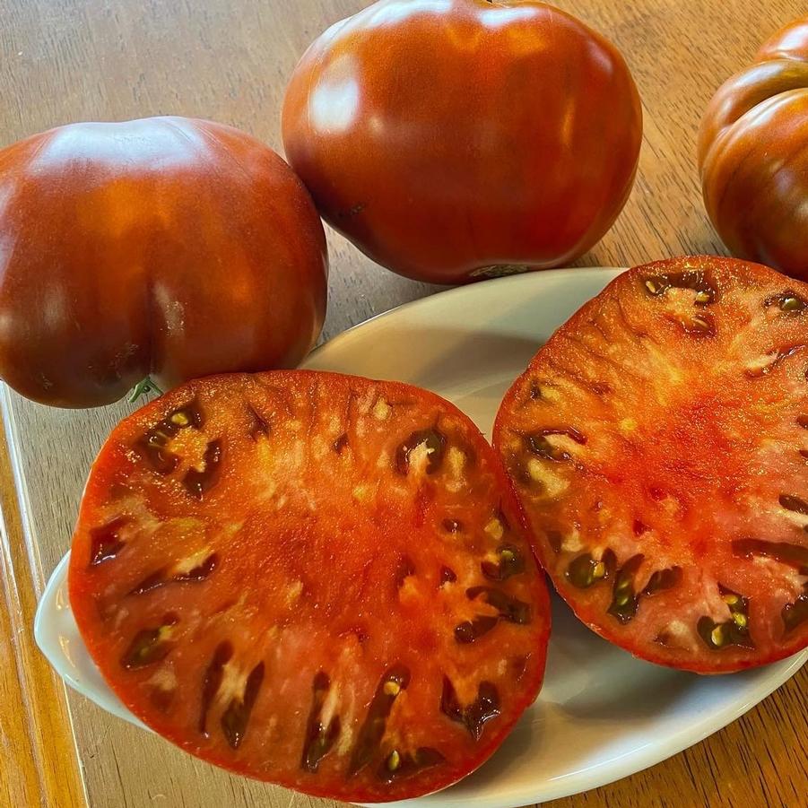 Solanum lycopersicon 'Cowboy' - Tomato, Cowboy from My Organic Table
