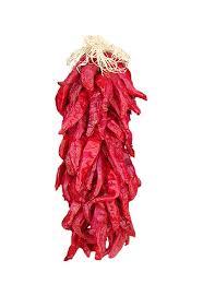 Capsicum annuum Chimayo