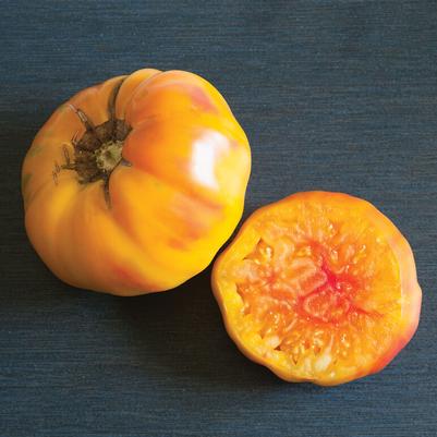 Solanum lycopersicon Striped German