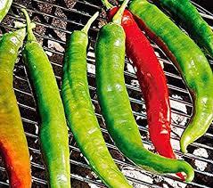 Capsicum annuum Long Hot