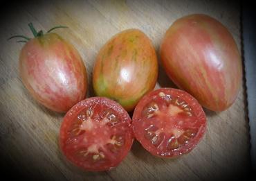 Solanum lycopersicum Taste Patio
