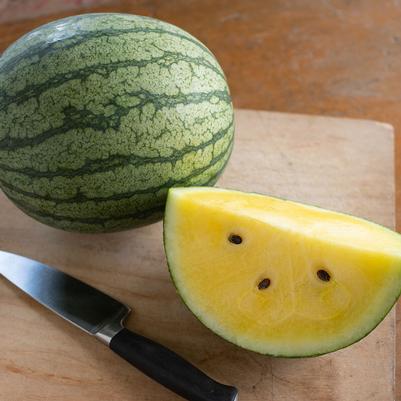 Citrullus lanatus Seeded - Yellow Doll