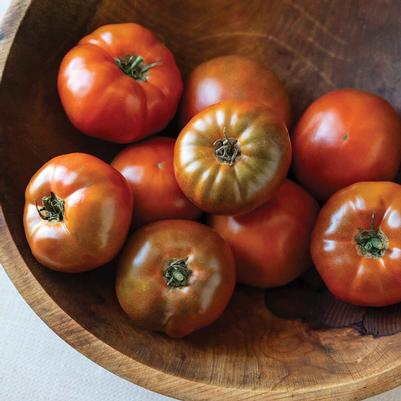 Solanum lycopersicon Black Angel