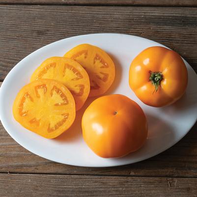 Solanum lycopersicon Marmalade Skies